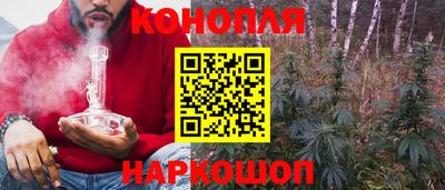 ешки Будённовск